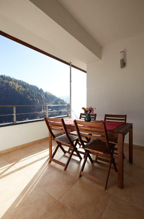 George Apartment Sinaia